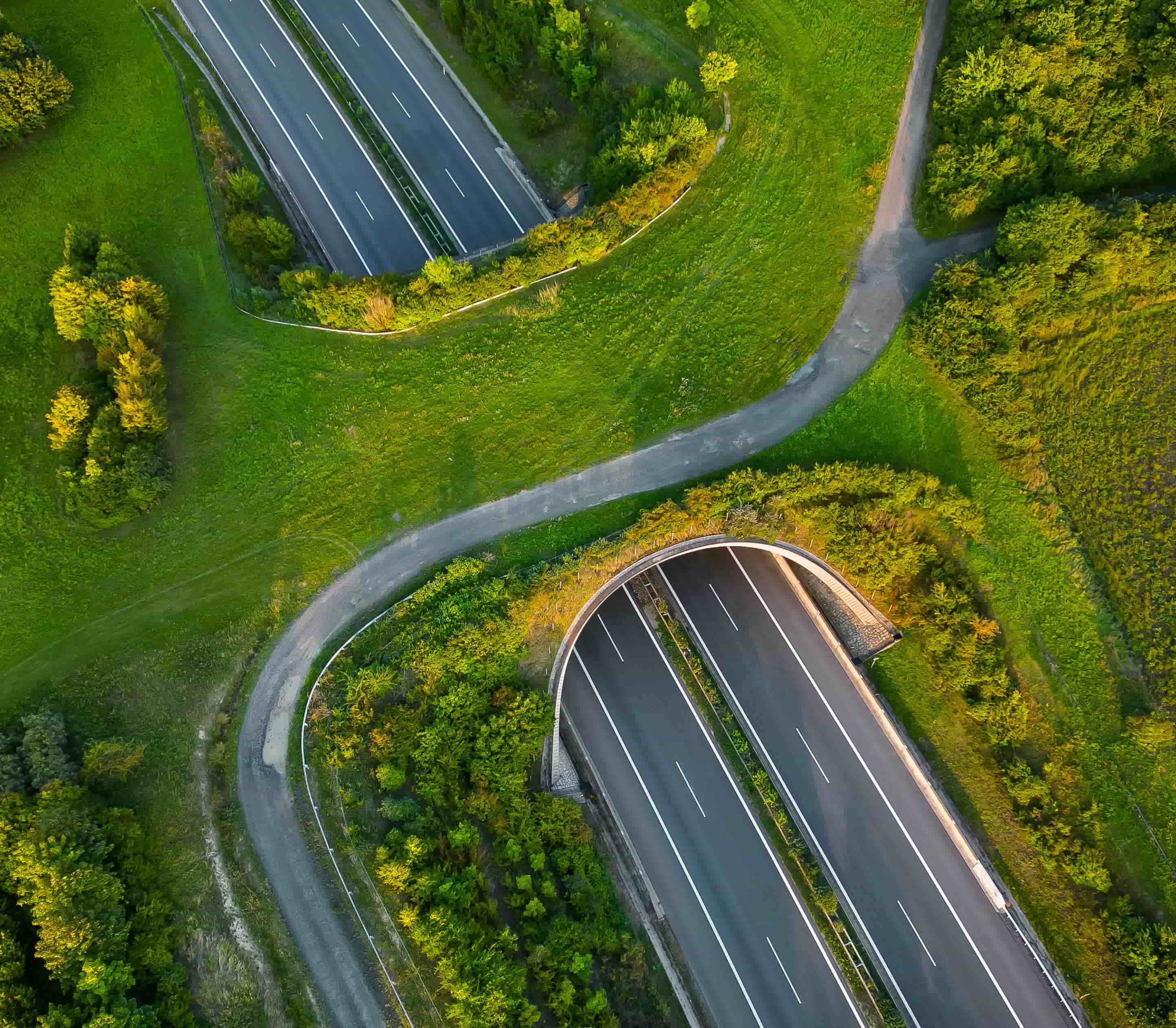 Aerial view of landscape - Geoprospect project